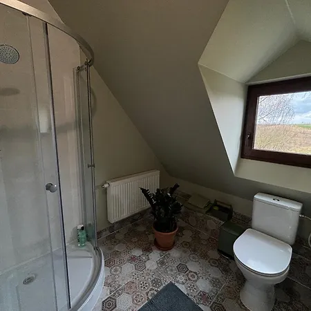 Osada Rzym 格涅夫