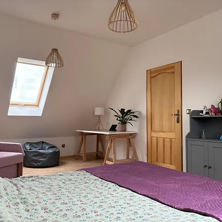 度假居 Osada Rzym