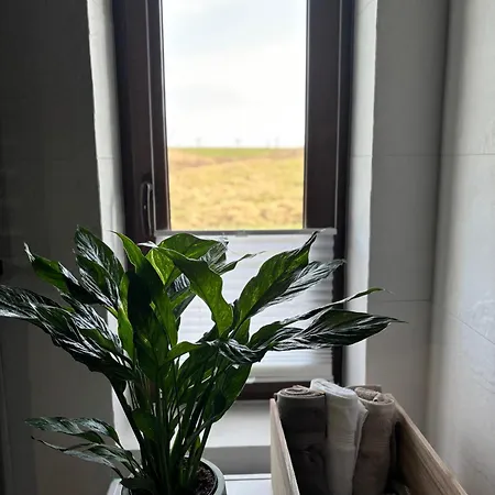 Osada Rzym 度假居 格涅夫